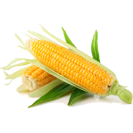Ashraf Organic