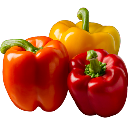 Ashraf Organic