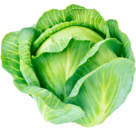 Ashraf Organic